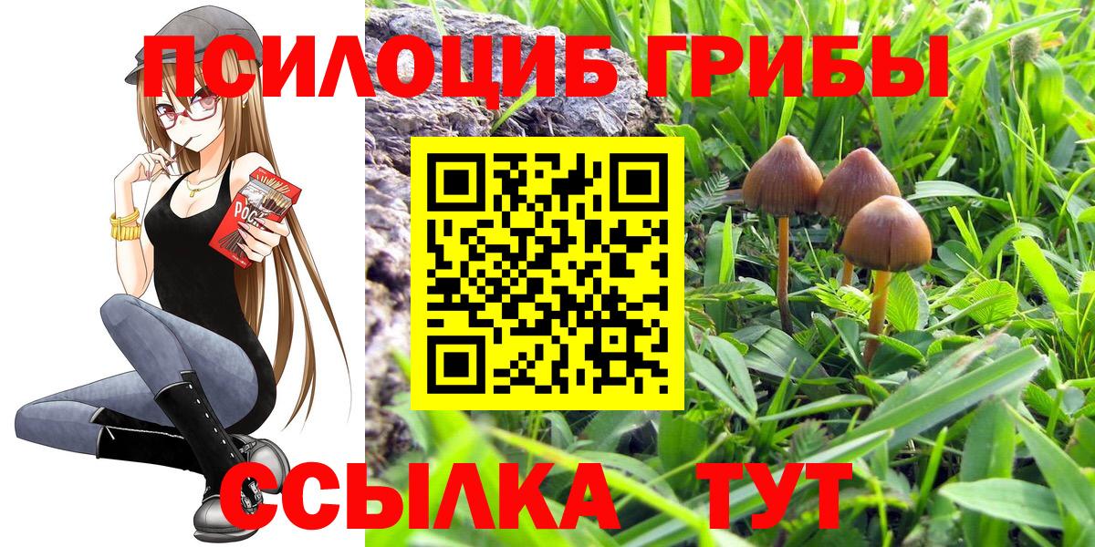 Шарыпово  Галлюциногенные грибы Magic Shrooms  Вход с VPN 